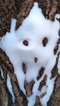 樹上雪人