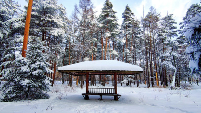 雪中涼亭