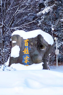 風雪蒼松