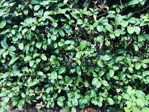 背景墻