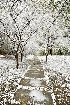 河北省石家莊裕華區(qū)綠洲公園雪景