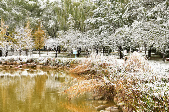 河北省石家莊裕華區(qū)東環(huán)公園雪景