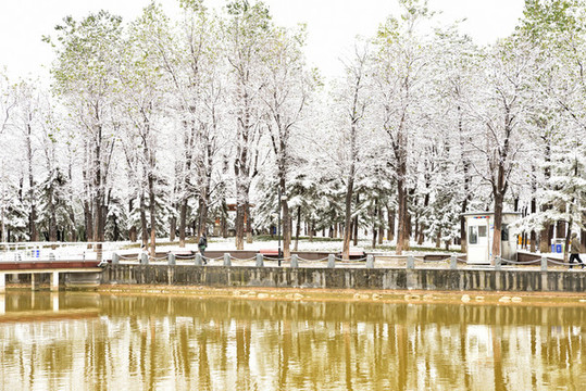 河北省石家莊裕華區(qū)東環(huán)公園雪景