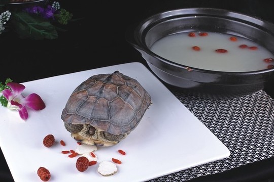 養(yǎng)生長壽龜