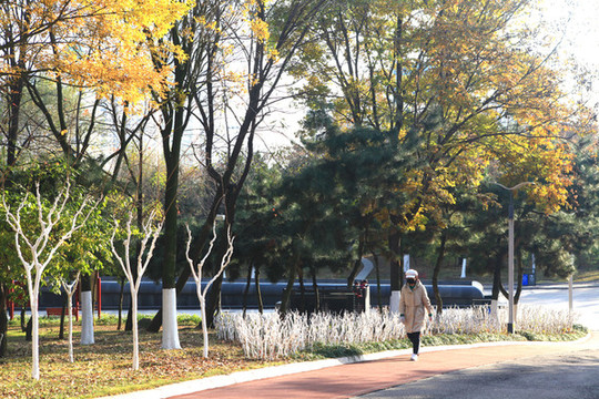 銀河公園秋色