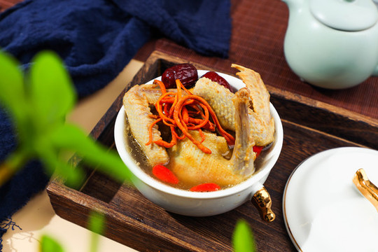 蟲(chóng)草鴿子湯