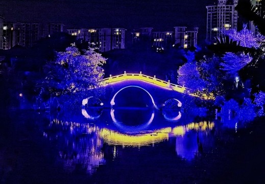 清水灣中央公園夜景