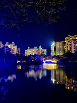 清水灣中央公園夜景