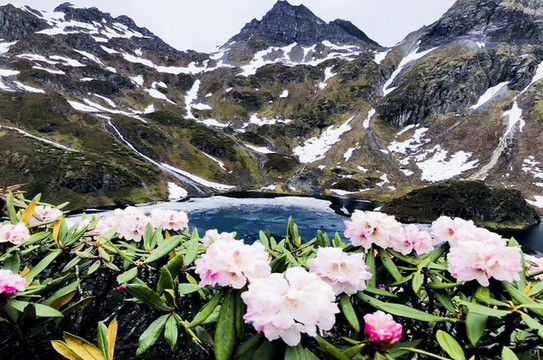 雪山