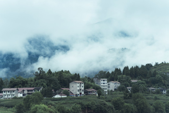田園風(fēng)光