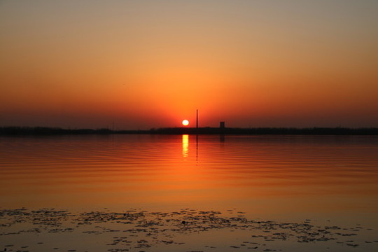 夕陽(yáng)紅組圖