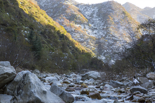 秦嶺山