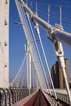 灞河橋