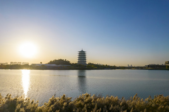 世博園