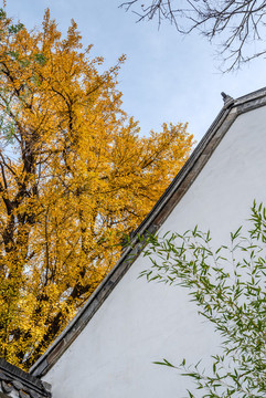 秋天中國揚州大明寺風(fēng)景區(qū)