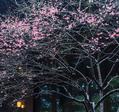 杭州靈隱寺