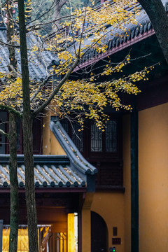 靈隱寺秋色