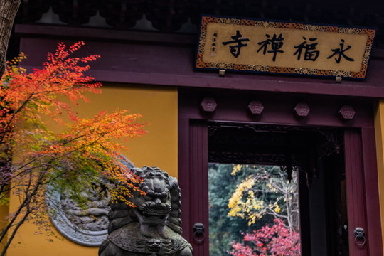 杭州永福寺秋色
