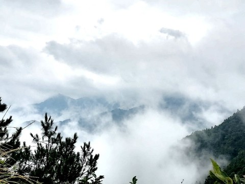 山頂云霧