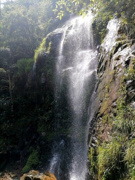 山澗溪流