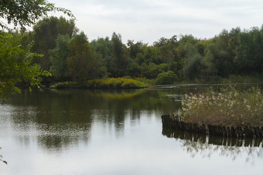 長春北湖濕地公園