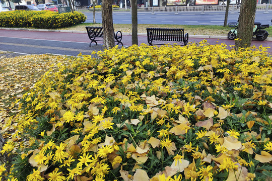 公園城市