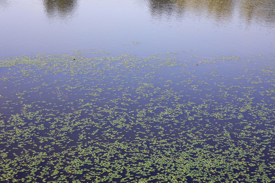 北京東郊森林公園風(fēng)光