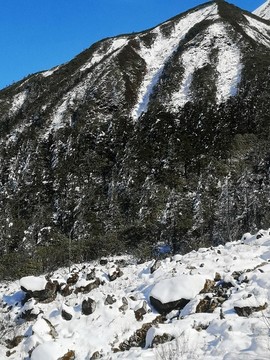白雪皚皚