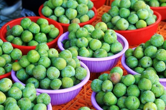 李子