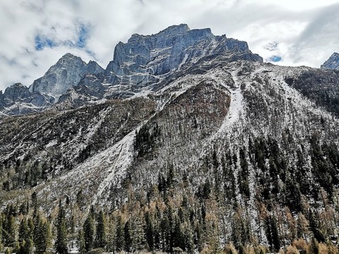 雪山叢林