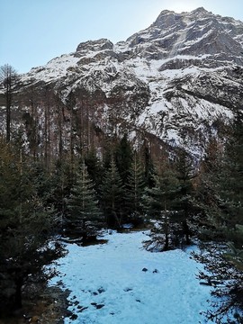 雪山叢林