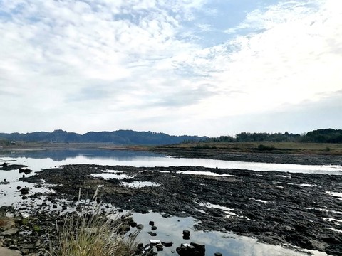 干涸河床