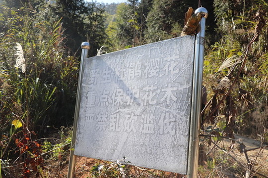 警示牌