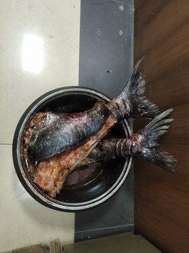 腌制魚