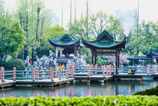 鏡湖公園九曲橋