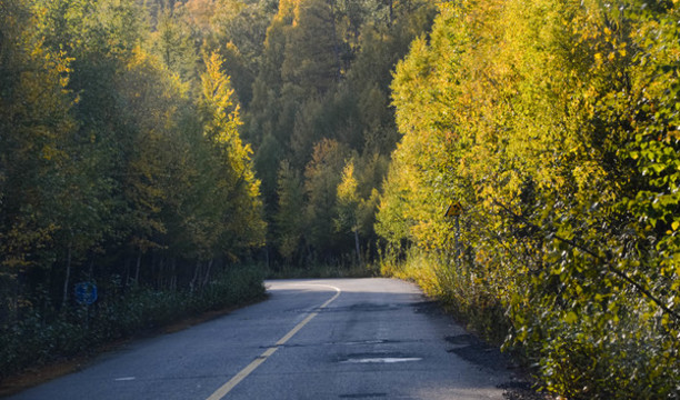 林區(qū)秋季公路