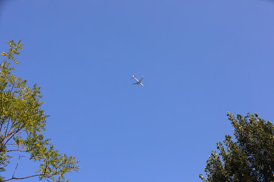 飛機(jī)