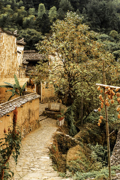 浙江麗水松陽(yáng)的楊家堂村