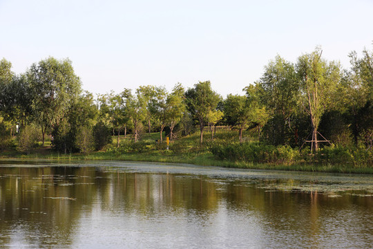 北京東郊濕地公園風光