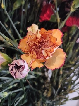 薔薇