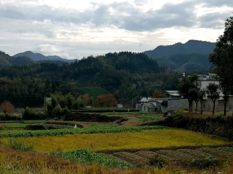 農(nóng)村田園風(fēng)光