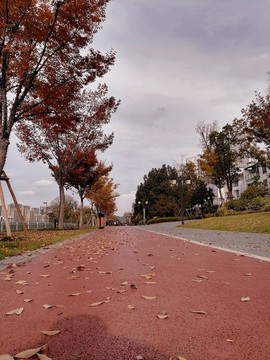 塑膠地面