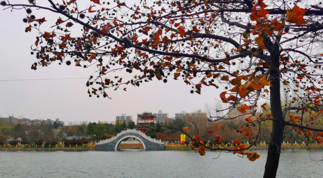 秋天的公園
