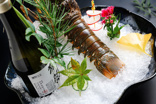 小青龍