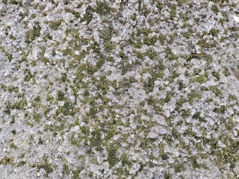苔蘚水泥墻貼圖素材