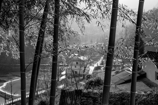 竹林人家