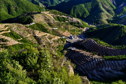 山