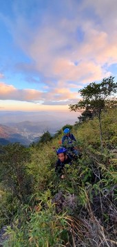 山頂
