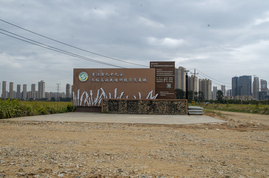 農(nóng)田文化