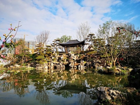 小區(qū)水景